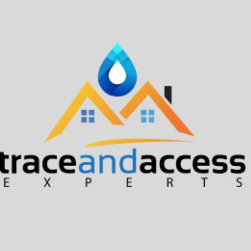 Trace And Access Experts logo